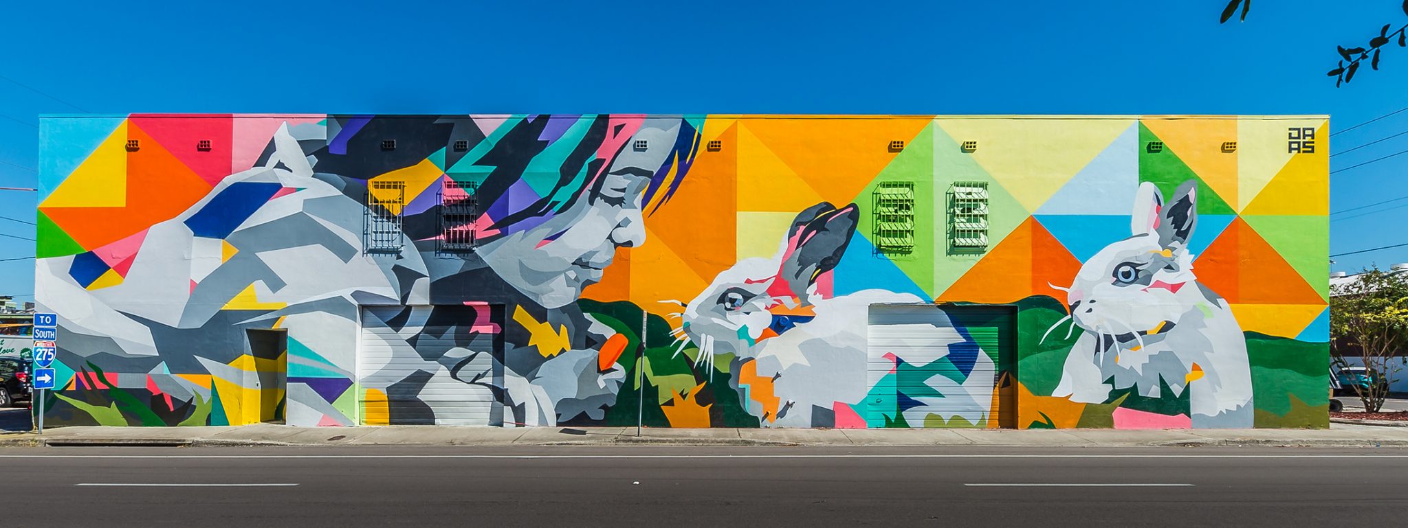 https://stpeteartsalliance.org/images/SHINE/2018murals/2018_SHINE_Mural_Festival_DAAS.jpg